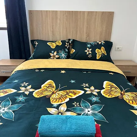 Pensiunea Aylin Guest house *