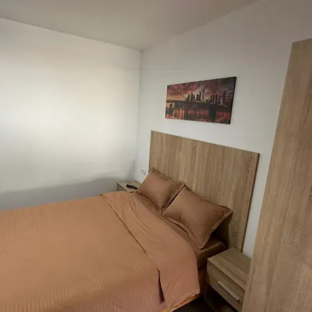 Pensiunea Aylin Guest house