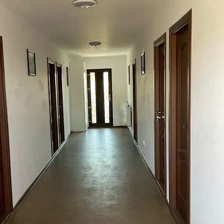 Guest house Pensiunea Aylin *