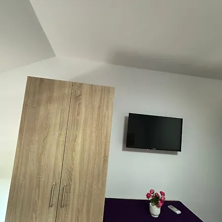 Pensiunea Aylin Maison d'hôtes *